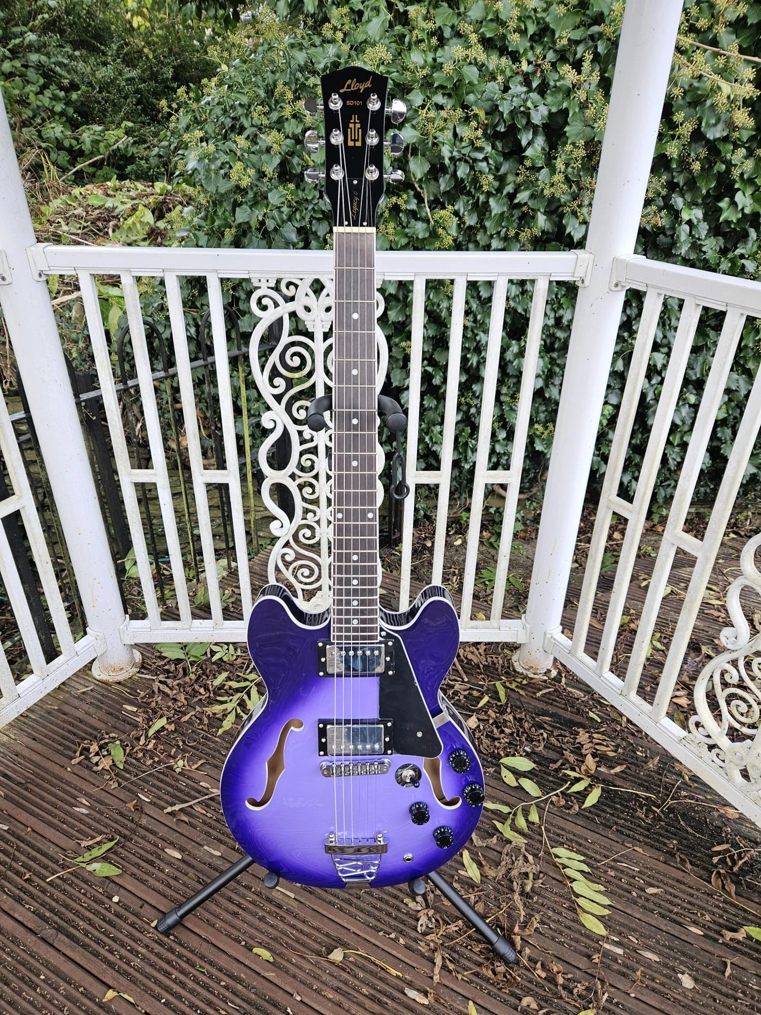 Lloyd Guitars Home